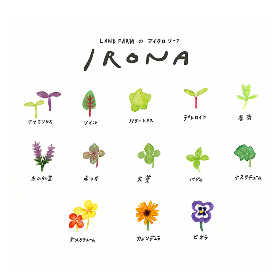 hp-irona1